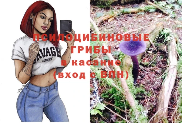 герыч Абаза